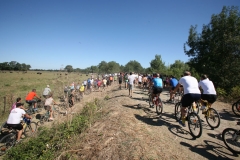 abrivado-15