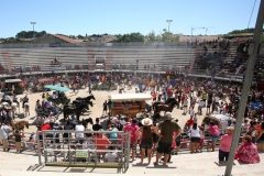 abrivado-19