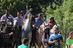 abrivado-04