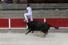 Homere_Marignan