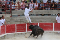 Igor_Zekraoui