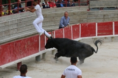 Paniou_Charrade