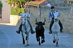 Bandido-2