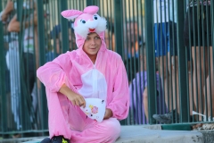 Bandido-3