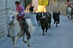 Bandido-Tau-1