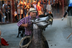 Bandido-Tau-2