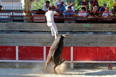 Affouga_Chahboune