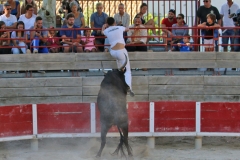 Affouga_Chahboune2