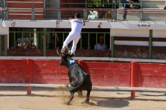 20_08-as-11