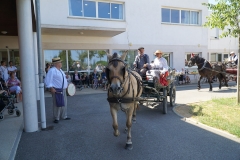 Promesses de taureaux