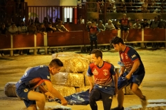 Charlotade des abats