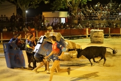 Charlotade des abats