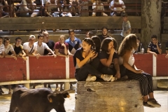 Charlotade des abats