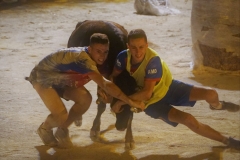 Charlotade des abats