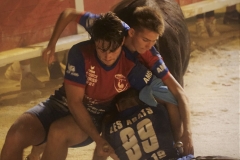 Charlotade des abats