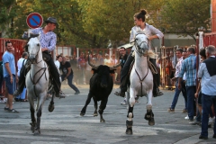 bandido-2