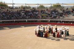 course-vaches-02