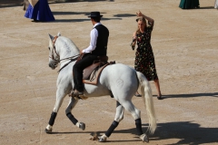 course-vaches-04