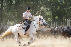 Manade  Cayzac