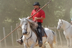 Manade  Cayzac