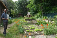 Jardin potager collectif