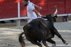 manade cavallini1