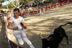 manade cavallini3