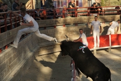 manade cavallini6