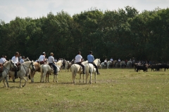 journée à l'ancienne le Cailar