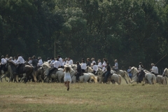 journée à l'ancienne le Cailar