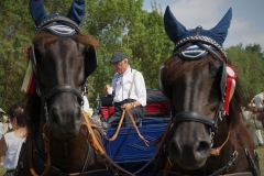 journée à l'ancienne le Cailar