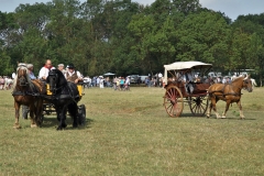 journée à l'ancienne le Cailar