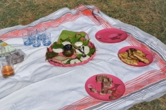 journée à l'ancienne déjeuner sur l'herbe