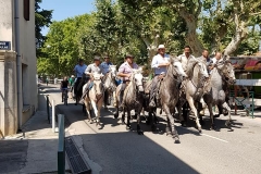 ABRIVADO 04