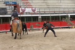tienta-macho-1