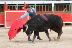 tienta-macho-3