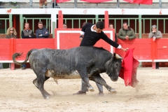 tienta-macho-5