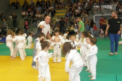 Tournoi de judo Vauvert 2017