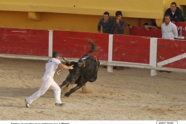 07_garlan-martin_3