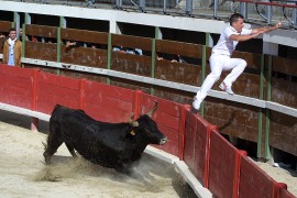 Estepous (Guillerme) sur Martin Photo © Serge Colombaud