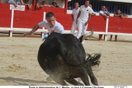 02_crapone-martin