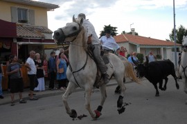09_bandido