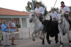 13_bandido