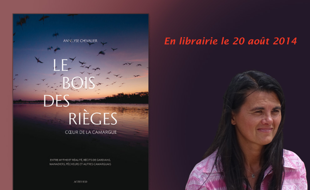 en_librairie