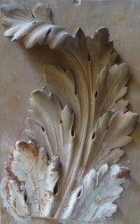 02_feuille_d_acanthe