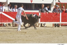 02_horacio-rassir