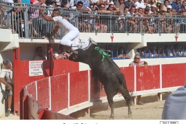 05_greco-belgourari_3