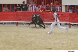 05_mignon-katif_1