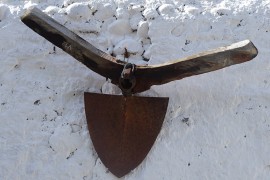 05_taureau
