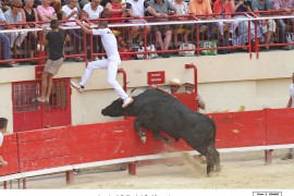 06_apache-allouani_1